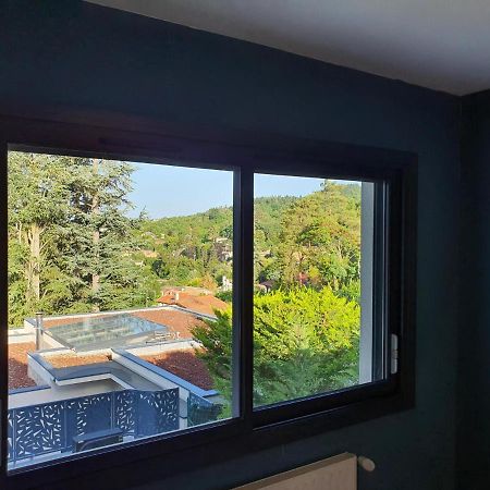 Studio Meuble Saint Cyr au Mont d'Or Bagian luar foto